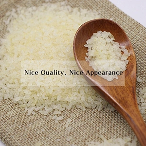 Food Additives CAS 9000-70-8 Bovine Skin Gelatin Bovine Beef Bone Gelatin 240 Bloom